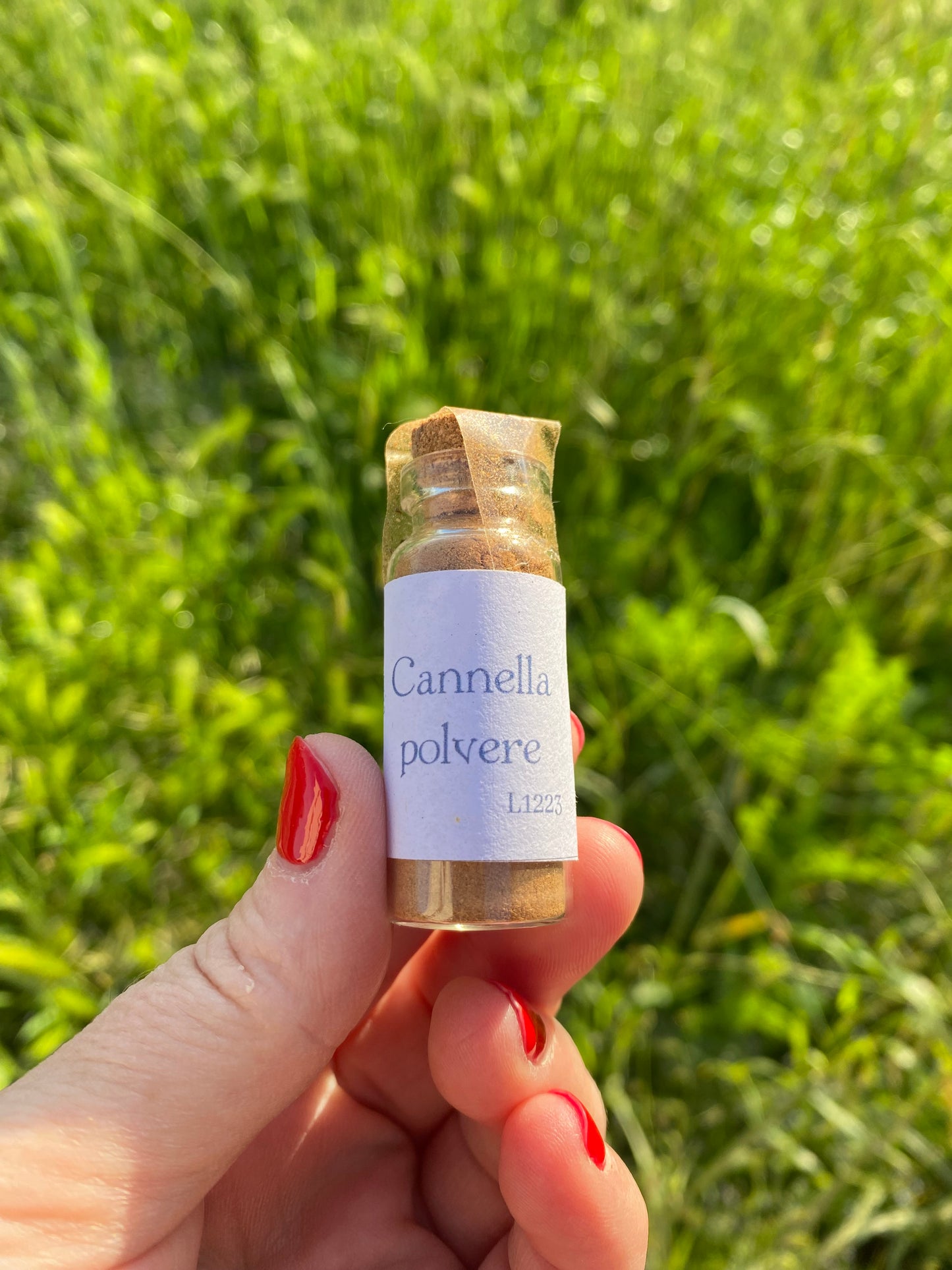 Polvere di Cannella