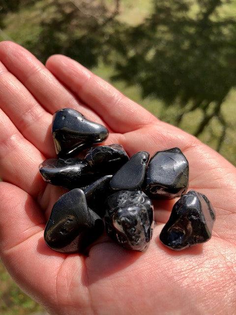 Shungite - Stregadellemele Crystal Shop